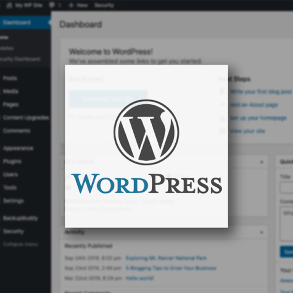 WordPress Developer / Website Developer